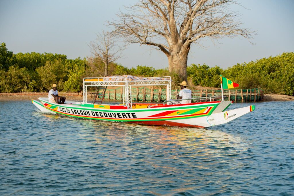Excursion Pirogue Saloum