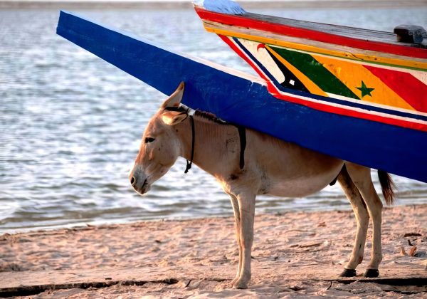 Excursion Fadima Dior Djilor Fimela Simal (7)