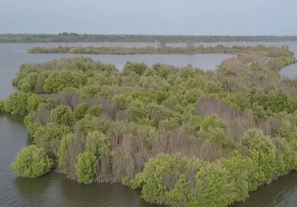 Excursion Île au Diable – Mar Wandié – Fossémou