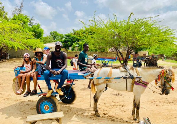 Balade en Charrette – Yayem - Fimela - Djilor