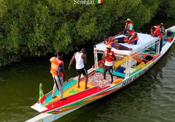 Îles du Saloum Découverte